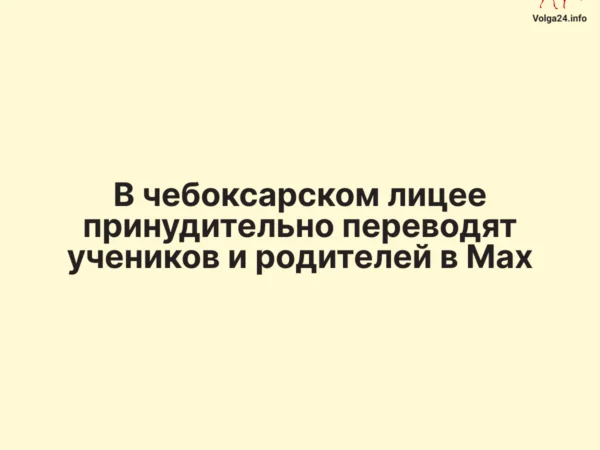 В чебоксарском лицее принудительно переводят учеников и родителей в Max