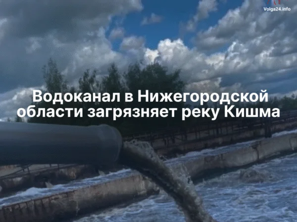 Водоканал в Нижегородской области загрязняет реку Кишма