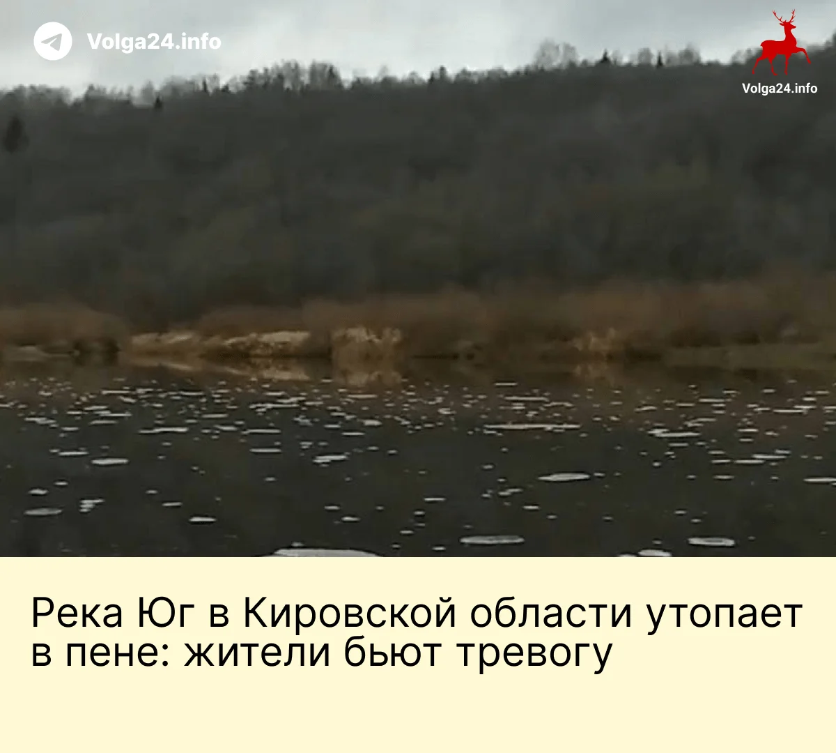 Река Юг в Кировской области утопает в пене: жители бьют тревогу