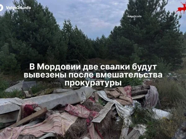 В Мордовии две свалки будут вывезены после вмешательства прокуратуры