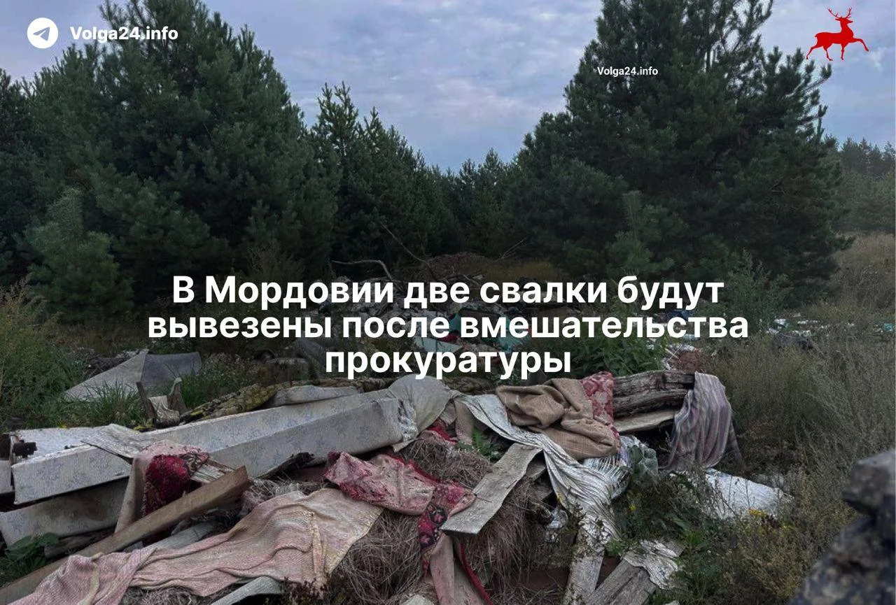 В Мордовии две свалки будут вывезены после вмешательства прокуратуры