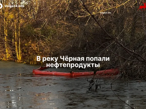 Река Чёрная теперь буквально чёрная, но есть нюанс: в реку попали нефтепродукты