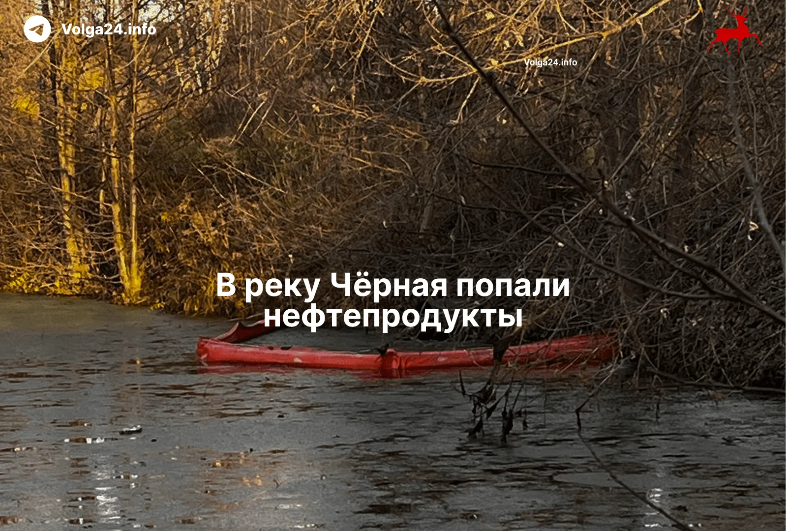 Река Чёрная теперь буквально чёрная, но есть нюанс: в реку попали нефтепродукты