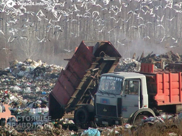 В Нижегородской области возбудили дело из-за 12 тыс. тонн мусора и ущерба в 400 млн рублей