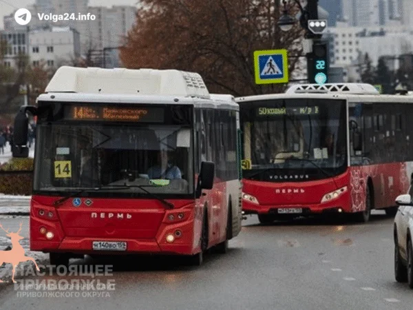 В Перми со следующего года подорожают проездные 