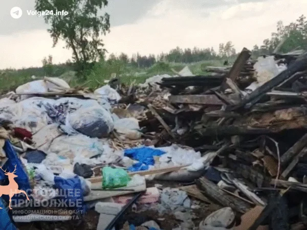 В Нижегородской области возбудили уголовное дело из-за незаконной свалки