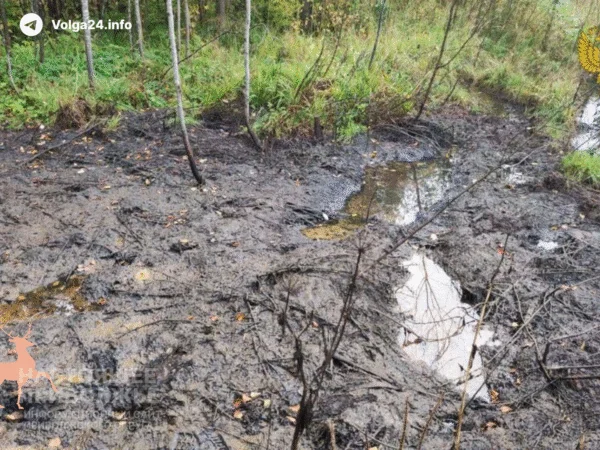В Пермском крае возбудили уголовное дело по факту загрязнения почвы нефтепродуктами