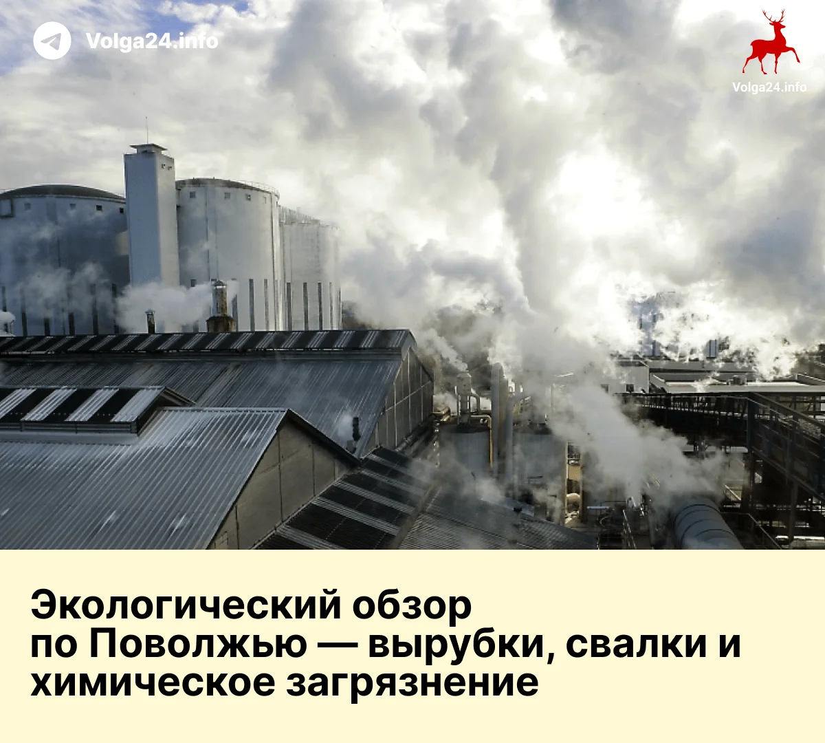 Экологический обзор по Поволжью — вырубки, свалки и химическое загрязнение