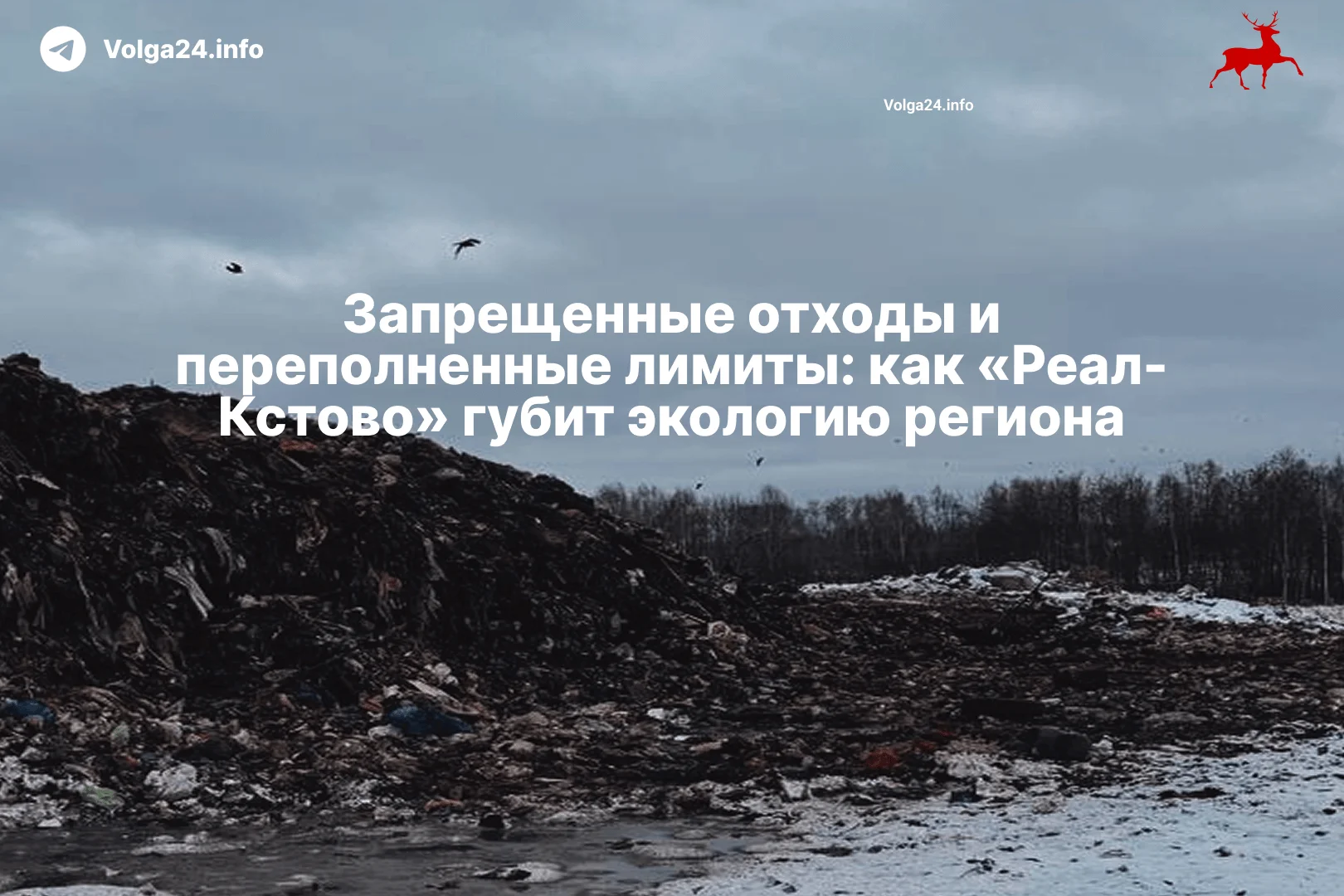 На полигоне «Реал-Кстово» нашли 10 серьезных нарушений