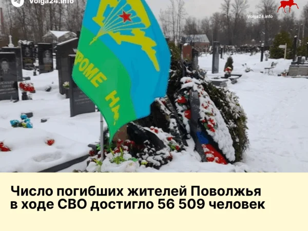 Число погибших жителей Поволжья в ходе СВО достигло 56 509 человек