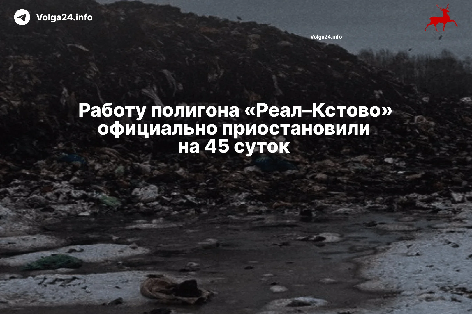 Работу полигона «Реал–Кстово» официально приостановили на 45 суток 