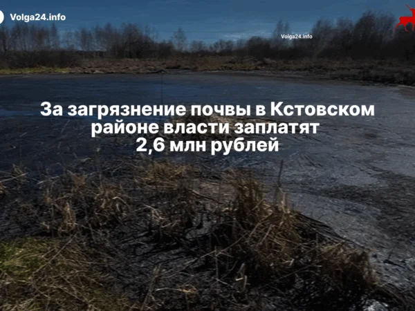 За загрязнение почвы в Кстовском районе власти заплатят 2,6 млн рублей