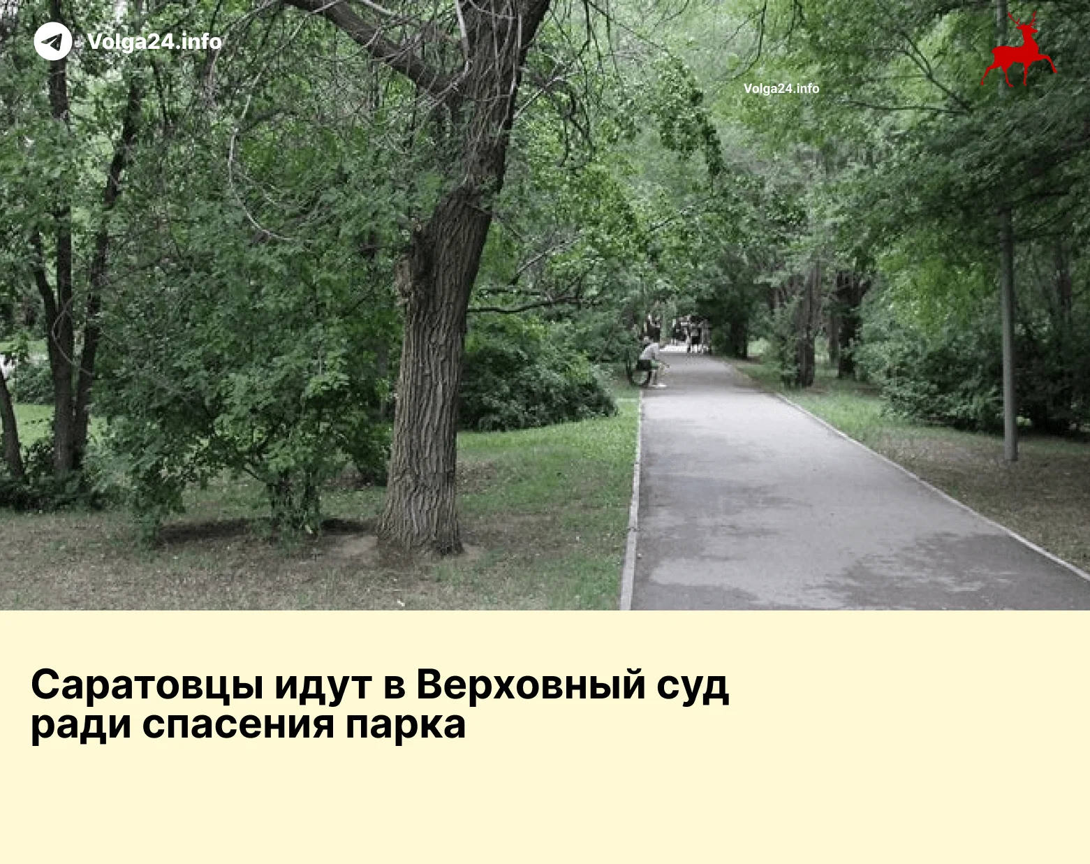 Саратовцы идут в Верховный суд ради спасения парка