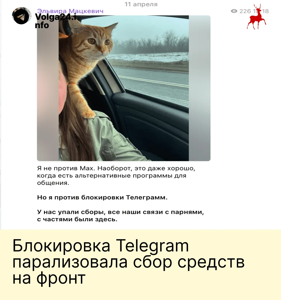 Блокировка Telegram парализовала сборы Z‑волонтеров