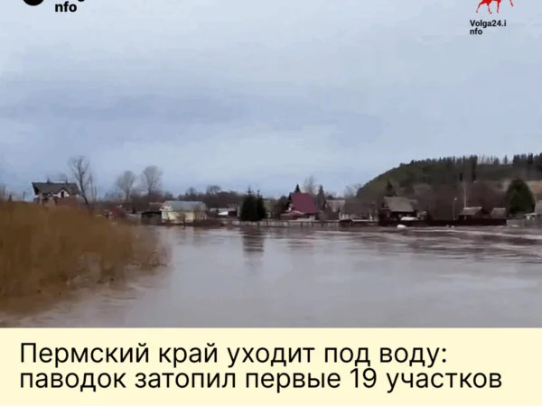 Пермский край уходит под&nbsp;воду: паводок затопил первые 19&nbsp;участков