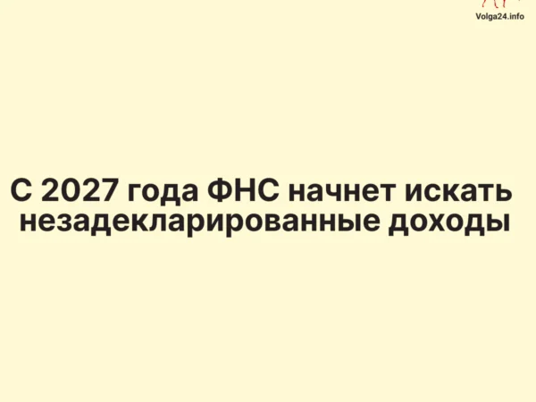 С&nbsp;2027&nbsp;года ФНС&nbsp;начнет искать незадекларированные доходы