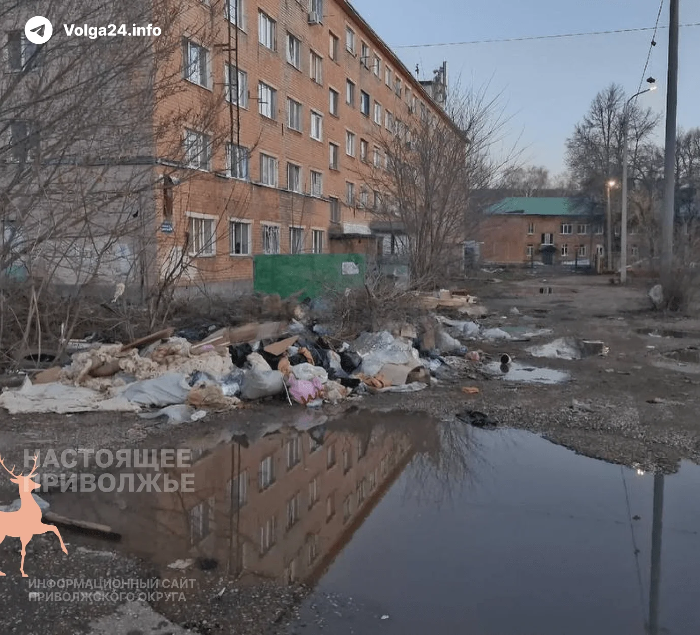 В&nbsp;Стерлитамаке дети ходят в&nbsp;школу через&nbsp;крысиную свалку