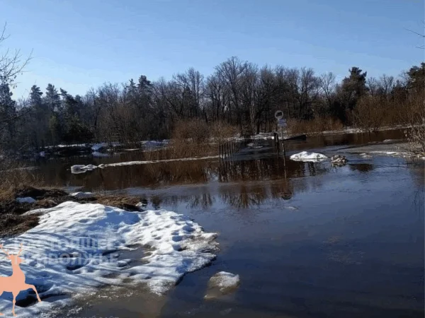 Паводок в&nbsp;Нижегородской области 