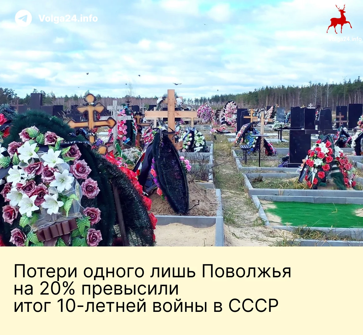 Черновик