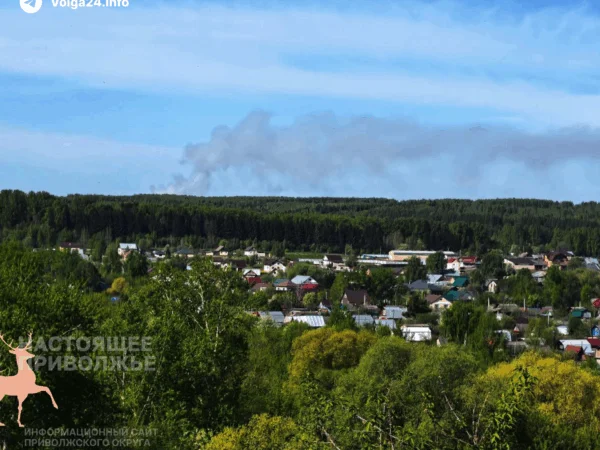 Черновик